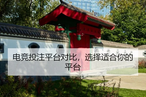 电竞投注平台对比，选择适合你的平台